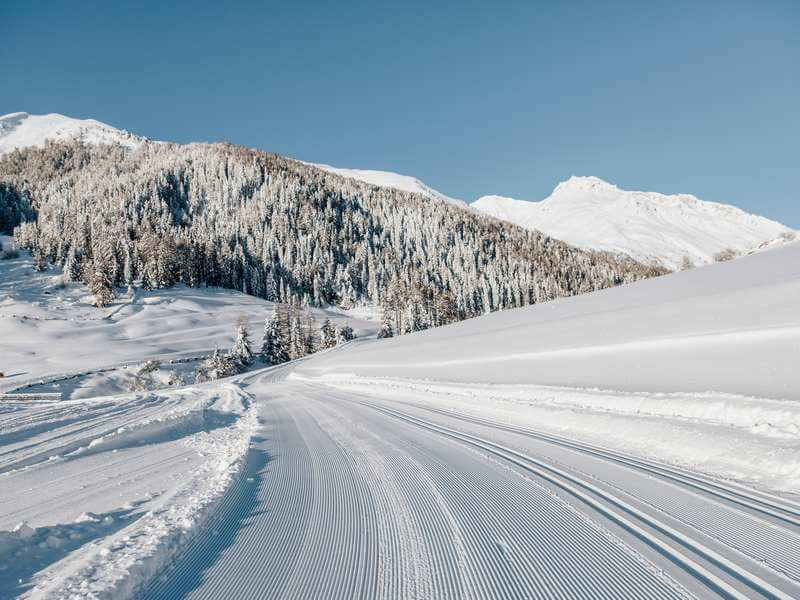 cross-country skiing in Isarco Valley - South Tyrol
